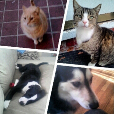 Timeline: Taylor Marston Life Timeline