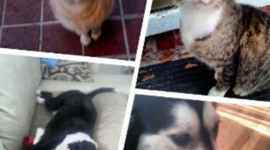 Timeline: Taylor Marston Life Timeline