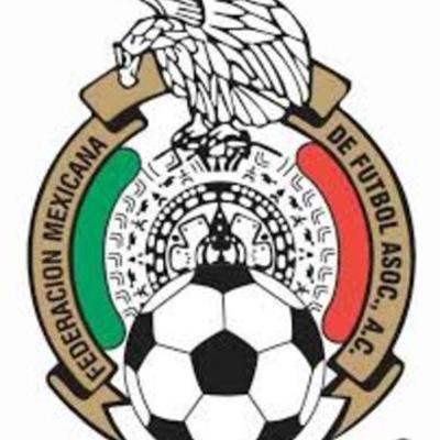Timeline: El paso del Tri hacía el mundial.