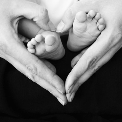 Timeline: Sierra Goodman's prenatal Development timeline