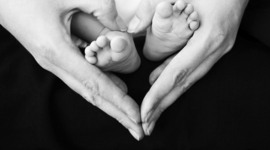 Timeline: Sierra Goodman's prenatal Development timeline