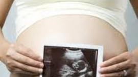 Timeline: Gavin sartins Pernatal Development time line