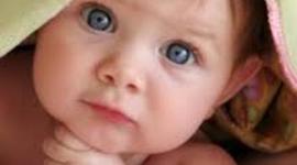 Timeline: Kayli Prenatal Development Timeline