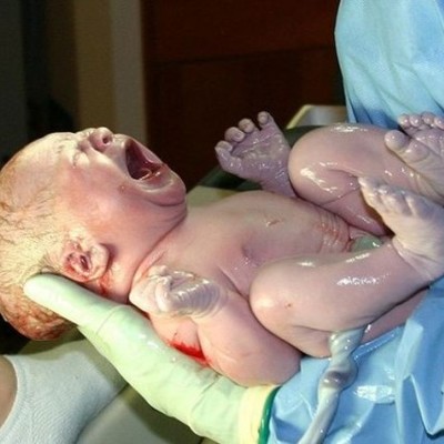 Timeline: Kenzie Spires's Prenatal Development Timeline