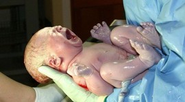 Timeline: Kenzie Spires's Prenatal Development Timeline