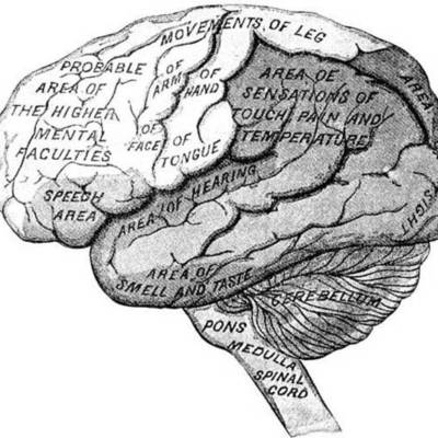 Timeline: History of Psychology Timeline Allisa Pieper