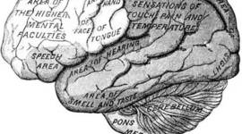 Timeline: History of Psychology Timeline Allisa Pieper
