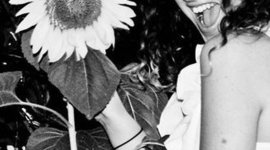 Timeline: Shannon's timeline