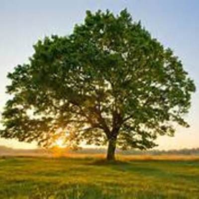 Timeline: Enviromental Acts and People to Know