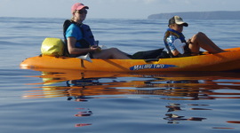 Timeline: Life of Lizzie Braxton