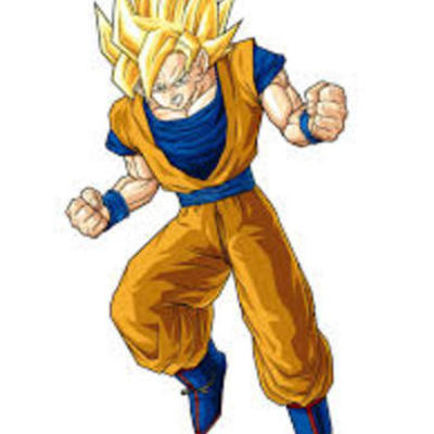 Timeline: My Kame Life