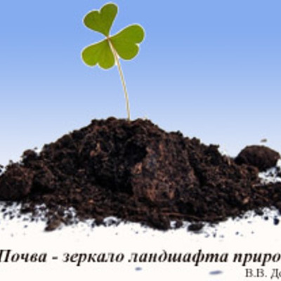 Timeline: Почва - краеугольный камень мироздания