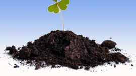 Timeline: Почва - краеугольный камень мироздания