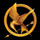 Hungergames updated cc