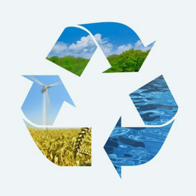 Timeline: APES Timeline