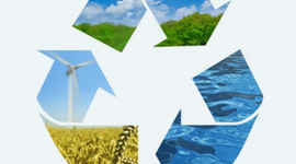 Timeline: APES Timeline