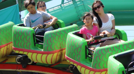 Timeline: Life Through an Economic Lens: Anne Tran