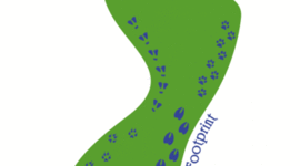 Timeline: P1, Matthews, APES Timeline Activity