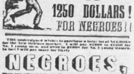 Timeline: Anna Gasienica Slavery