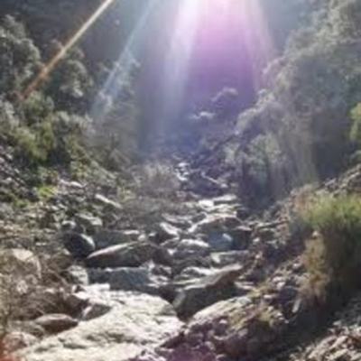 Timeline: Teorias del origen de la vida