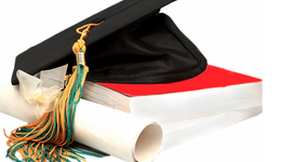 Timeline: Professional History