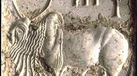 Timeline: Magadha Kingdom