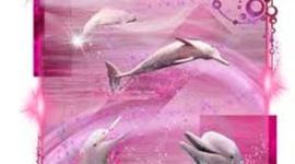 Timeline: alexis mCcool's timeline