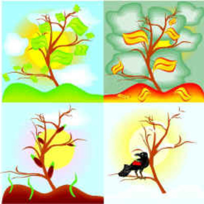 Timeline: Aastaring rahvakalendris