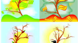 Timeline: Aastaring rahvakalendris