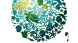 Timeline: Linea.del.Tiempo.Yesenia