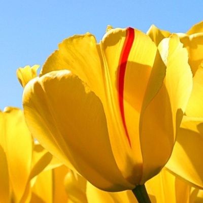 Timeline: Minu kirev elu