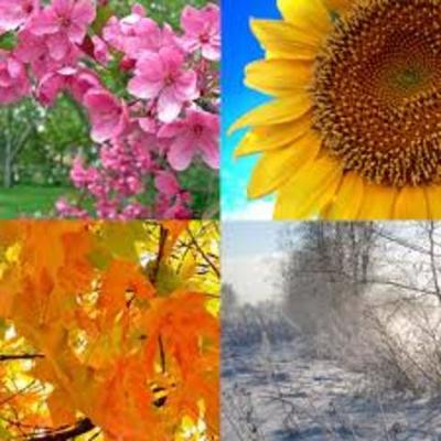 Timeline: The feel of the Seasons