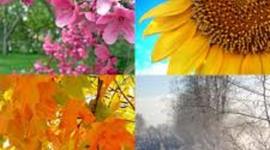 Timeline: The feel of the Seasons