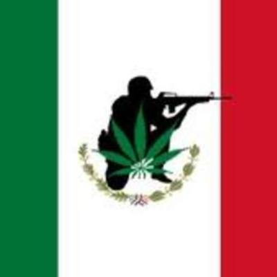 Timeline: Mexiacan Drug war by Daniela Gonzalez