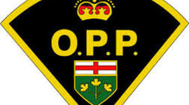 Timeline: Kyle Cuthbert