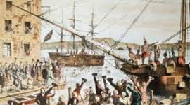 Timeline: Savannah S.