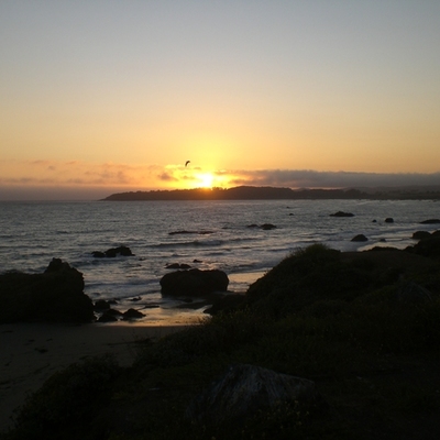 Timeline: EDU 250 Community College Changes