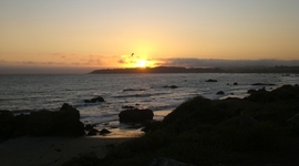 Timeline: EDU 250 Community College Changes