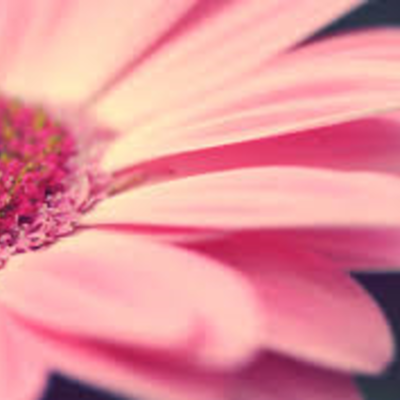 Timeline: Road to the Constitution