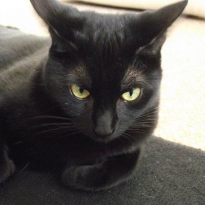 Timeline: Saving Money for Europe