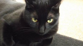 Timeline: Saving Money for Europe