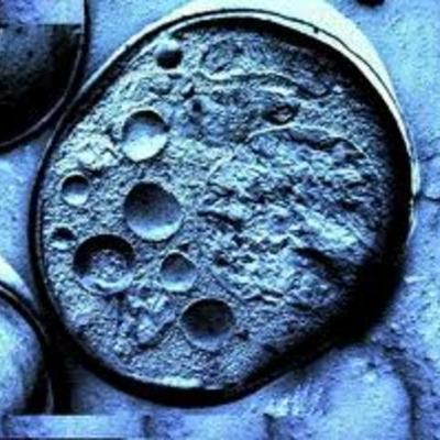 Timeline: CIENTÍFICS DE LA CÈL·LULA