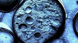 Timeline: CIENTÍFICS DE LA CÈL·LULA