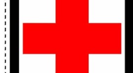 Timeline: la santé devient une cause publique (fevrier 2013)