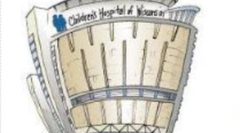 Timeline: NURS 4401-104 Patient Timeline