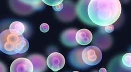 Timeline:  Biologia: teoria cel·lular