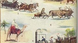 Timeline: MEDIOS DE TRANSPORTE