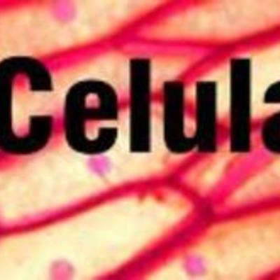 Timeline: Teoria cel·lular