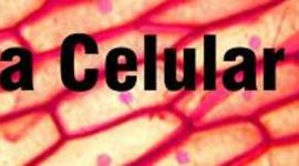 Timeline: Teoria cel·lular