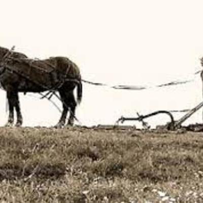 Timeline: FFA History